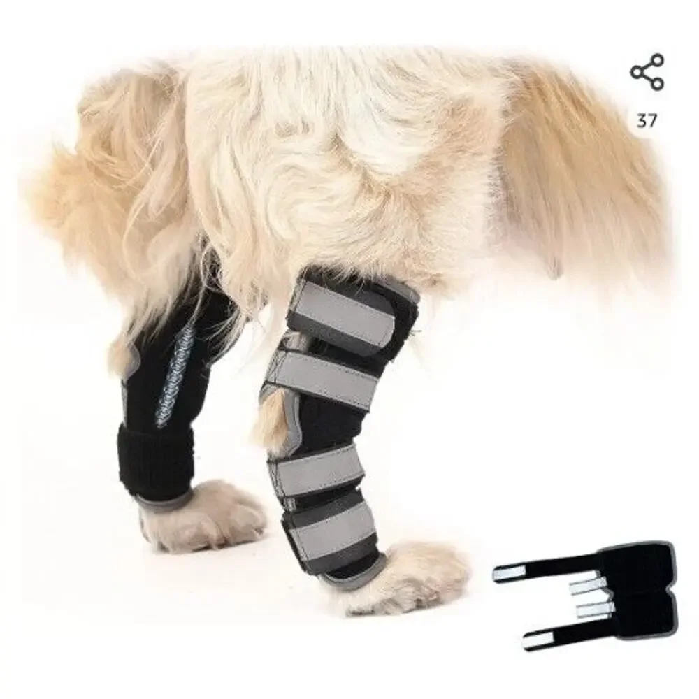 Dog Rear Leg Knee Braces - Pair - Hock Joint Wrap Support Injuries Size Medium